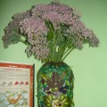 Майстер-клас з флористики: виготовлення вази з пластикової пляшки   Шановні колеги