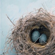 Побачене уві сні гніздо з кинутими пташенятами попереджає про вашу необачність і недалекоглядності в справах, які повинні ось-ось зважитися